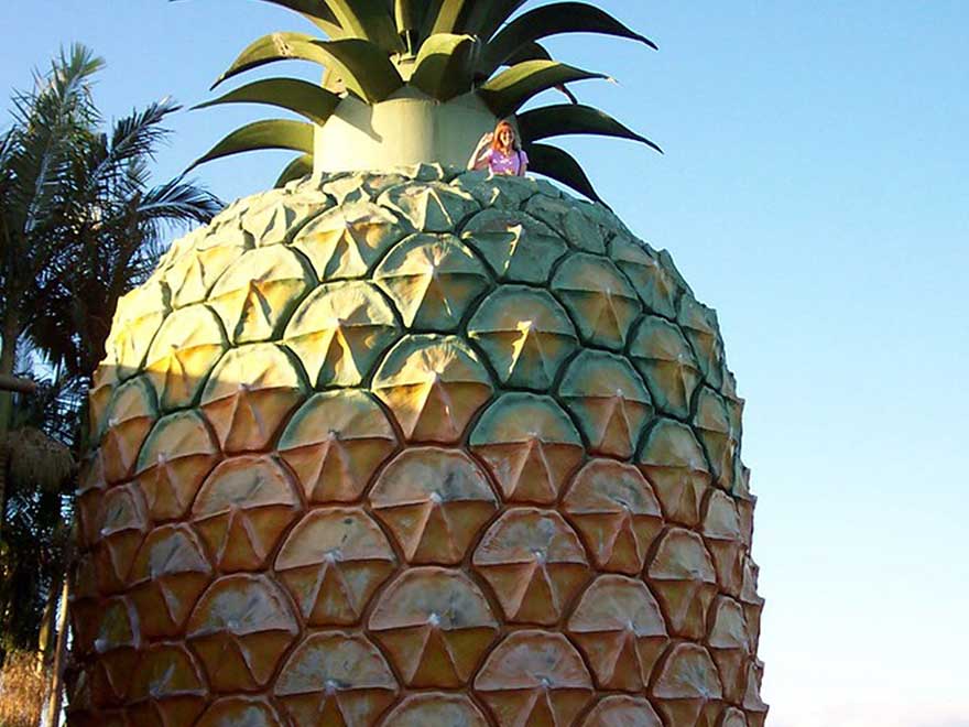 The Big Pineapple